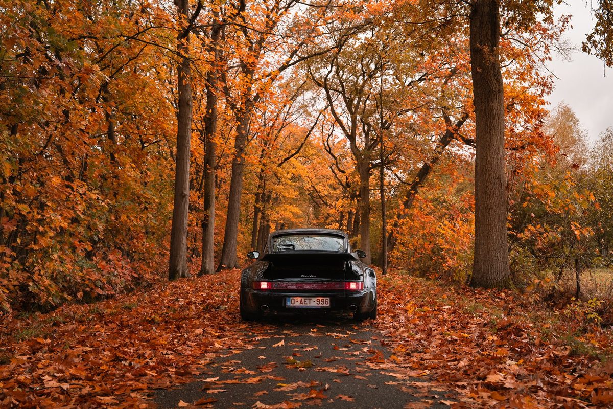 Porsche 964 Turbo — foto 10 van 23