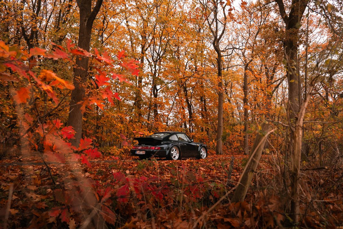 Porsche 964 Turbo — foto 12 van 23