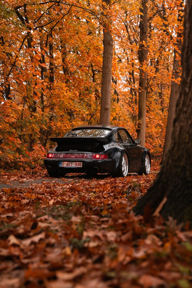 Porsche 964 Turbo — foto 14 van 23