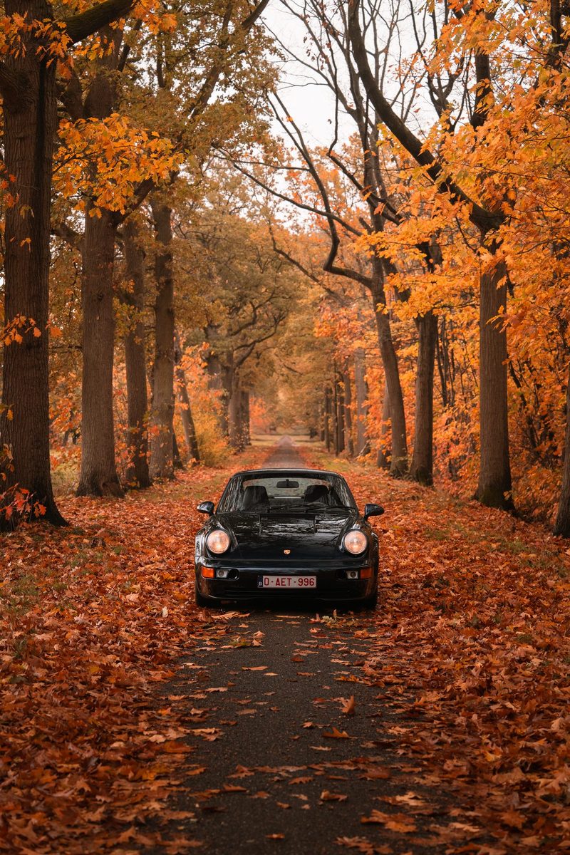 Porsche 964 Turbo — foto 17 van 23