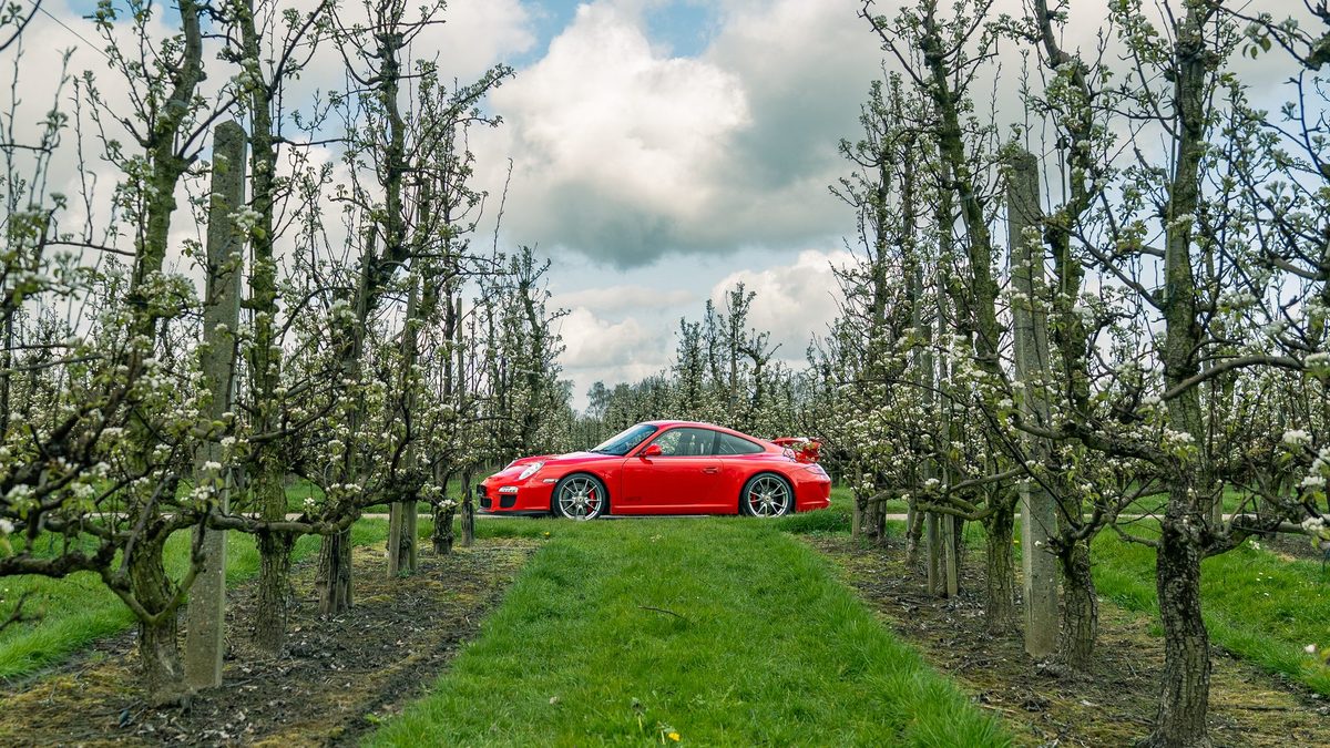 Porsche 997 GT3 — foto 15 van 26